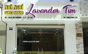 Lavender Tim